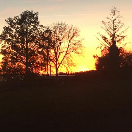 Gite Au Petit Bonheur Villa Chateldon Exteriör bild