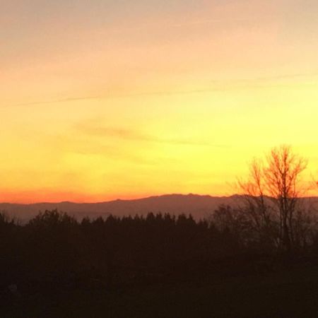 Gite Au Petit Bonheur Villa Chateldon Exteriör bild