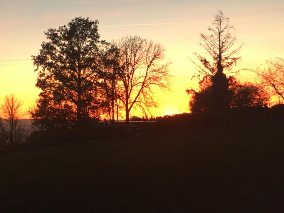 Gite Au Petit Bonheur Villa Chateldon Exteriör bild