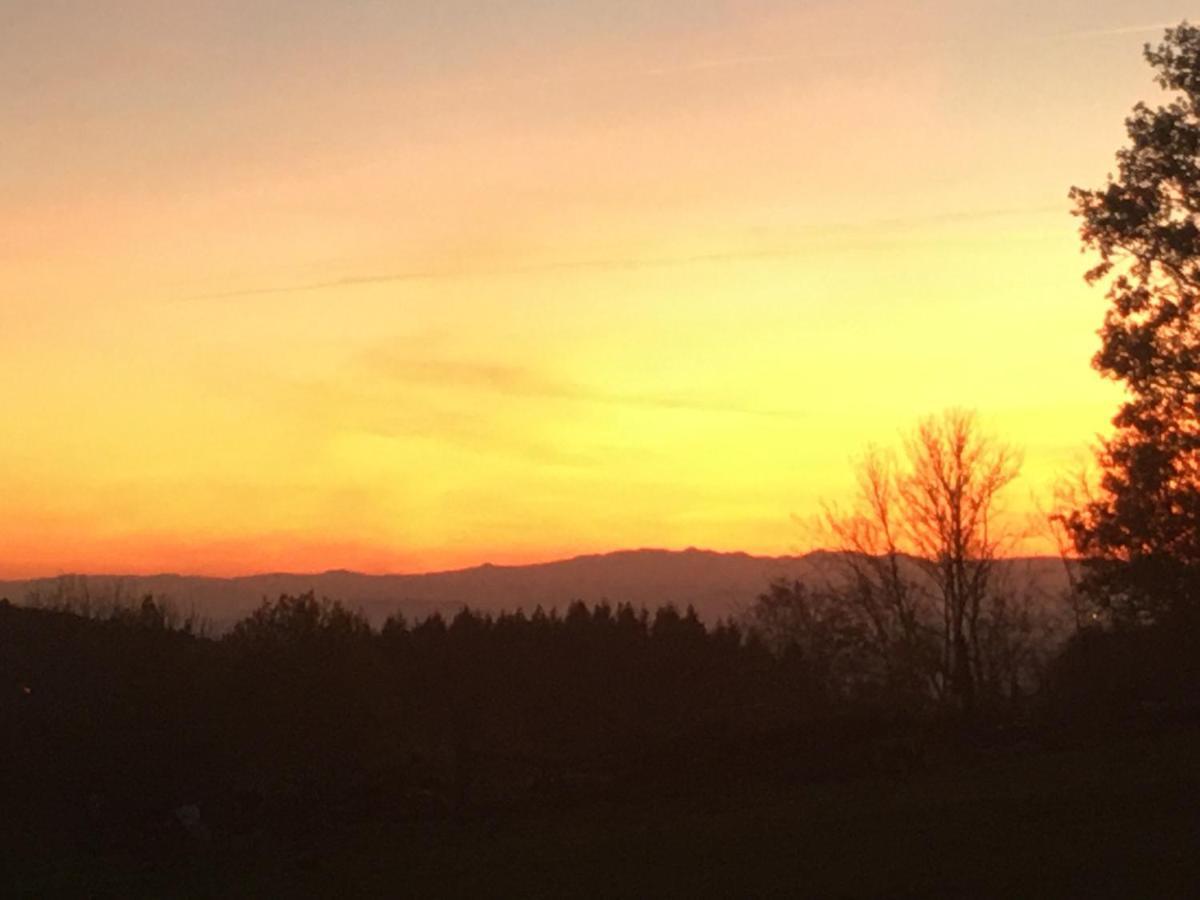 Gite Au Petit Bonheur Villa Chateldon Exteriör bild